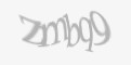 Защитный код